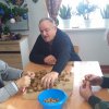 ergoterapia z uzyciem orzechow wloskich 018